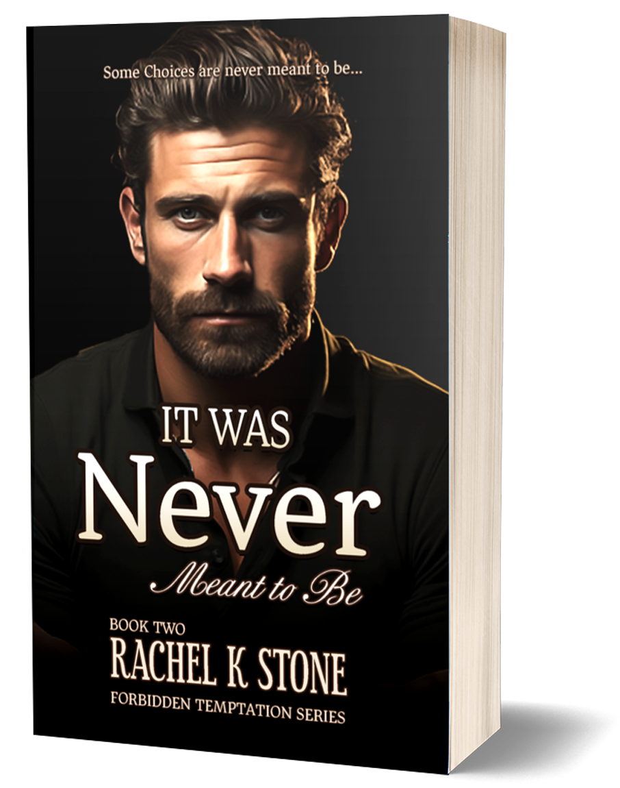 It Was Never Meant to Be (Forbidden Temptations Series, Paperback Book 2)